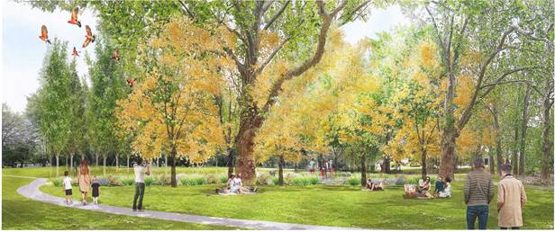 A group of trees in a park

Description automatically generated with medium confidence
