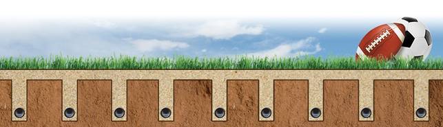 A picture containing sky, outdoor, grass

Description automatically generated